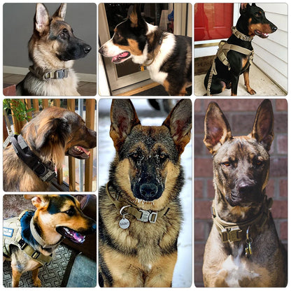 Take Control of Every Walk! Tactical Dog Collar & Leash Set