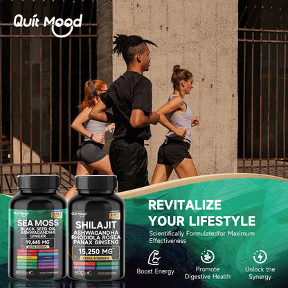 Quit Mood Sea Moss & Shilajit Energy Bundle | Black Seed Oil, Ashwagandha, Ginger, Rhodiola Rosea, Panax, Ginseng, Burdock Root & Turmeric | For Men & Women