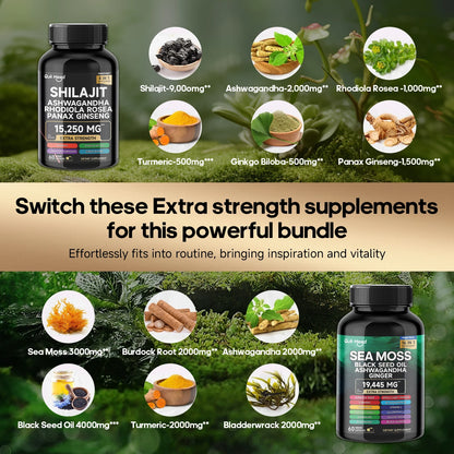 Quit Mood Sea Moss & Shilajit Energy Bundle | Black Seed Oil, Ashwagandha, Ginger, Rhodiola Rosea, Panax, Ginseng, Burdock Root & Turmeric | For Men & Women