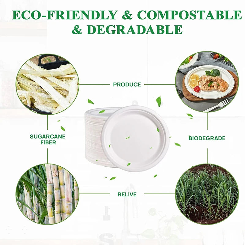 9-Inch Disposable Dinner Plates | 50-Pack | Food-Grade | Leak-Proof | Microwave-Safe | Party & Everyday Use
